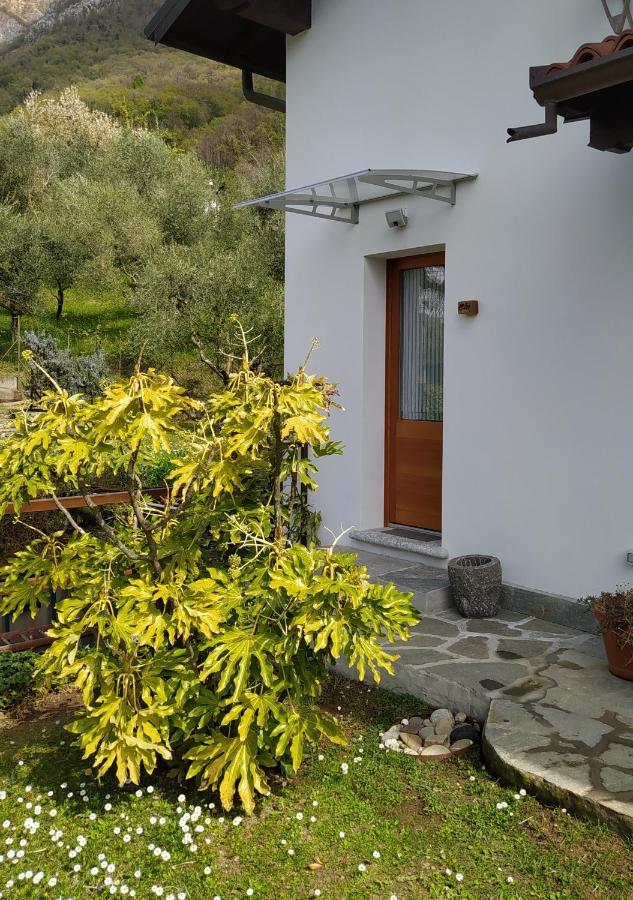 Il Bogno B&B Lierna Exterior foto