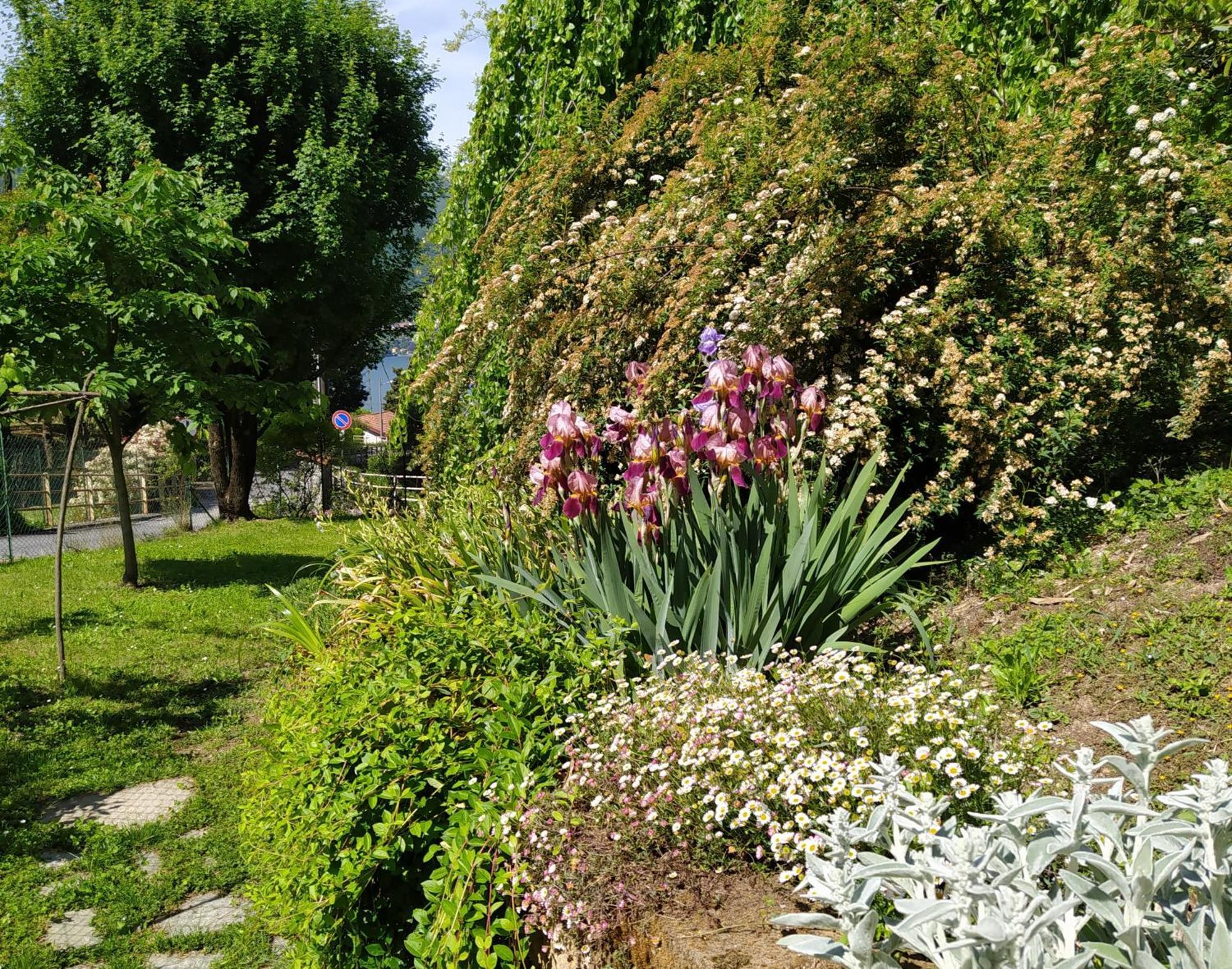 Il Bogno B&B Lierna Exterior foto