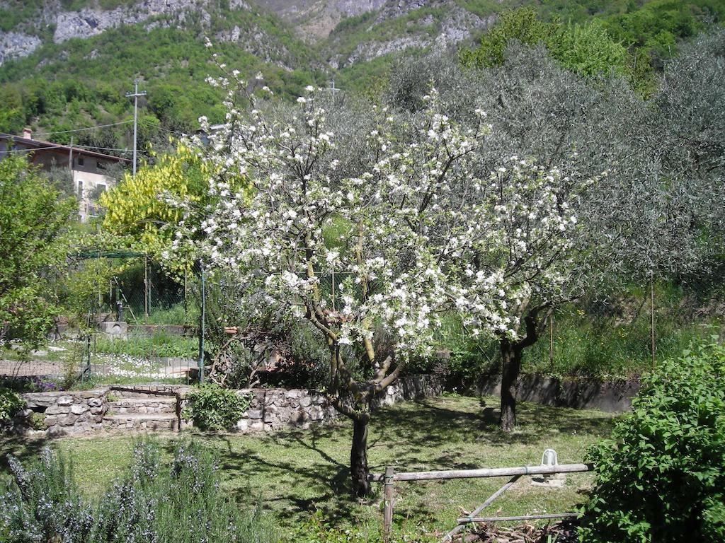 Il Bogno B&B Lierna Exterior foto